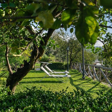 Villa Prota วีโกเอเกวนเซ ภายนอก รูปภาพ